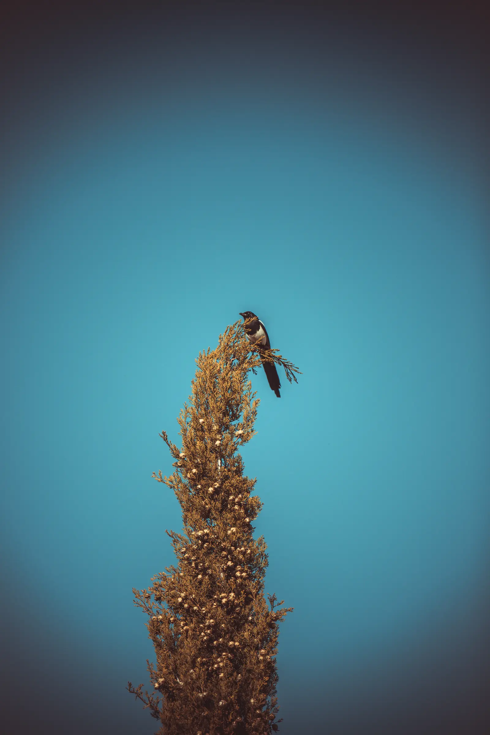 Intento subida Abantos-5